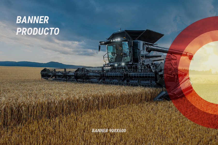 Layout Bruni_Bannerx900x600