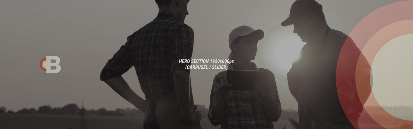 Layout Bruni_Hero-1920×600