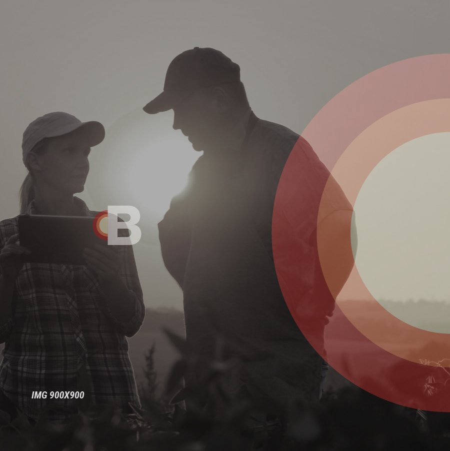 Layout Bruni_IMG-900X900